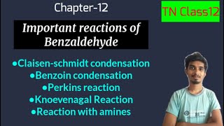 Important reactions of Benzaldehyde|Chapter-12|Chemistry|TN Class12