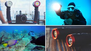 SeaLife Sea Dragon Underwater Lighting | Diving in Bimini with Sea Dragon 2500, 2100 & Mini 650