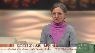 Nehezebb lesz megtartani a jogsit? - 2015.02.09 - tv2.hu/mokka