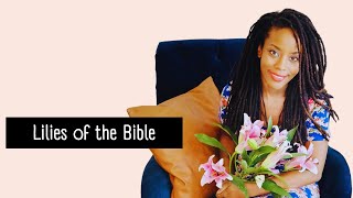 Lilies of the Field 🌸 | Bible Plants Explained | Ep. 1