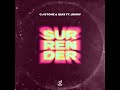 surrender extended mix