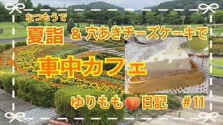 【ゆりもも日記No.11】金蛇水神社へ夏詣／ハナトピア岩沼／たまご舎の穴あきチーズケーキで車中カフェ／#車中カフェ#穴あきチーズケーキ