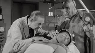 Ed Wood Jr | Bride of the Monster (1955) Bela Lugosi, Tor Johnson | Horror, Sci-Fi | Movie, Subtitle