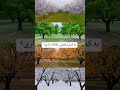 من خودم پاییز و زمستان دوست دارم 💖🍂