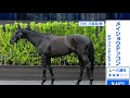 【天皇賞・春】某大手牧場の元スタッフが惚れた！平成最後のg1を勝てる好馬体 g1フォトパドック 2019【競馬予想】