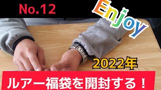 【No.12】1万円シーバスルアー福袋！！当たりは出るか！？