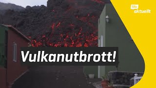Vulkanutbrottet på kanarieöarna! | Lilla Aktuellt