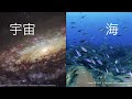 地球外の海はどこにあるのか 俊一 鎌田 tedxhokkaidou