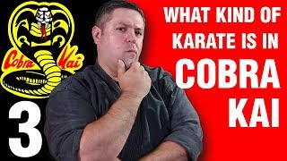 What Kind of Karate is in Cobra Kai? PART 3 | ART OF ONE DOJO