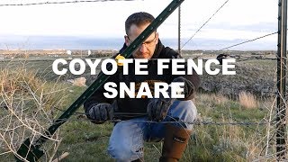 COYOTE FENCE SNARE