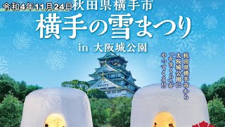 横手の雪まつり in 大阪城公園