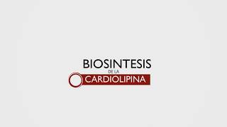 Biosintesis de la \