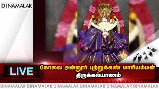 கோவை அன்னூர் புற்றுக்கண் மாரியம்மன் திருக்கல்யாணம்  | Thirukalyanam  | Dinamalar Live