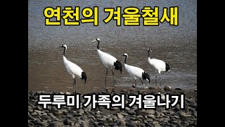 연천의 겨울철새_01