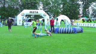 Agility -Lolo Pets Classic Cup- Competition in Poland # 6