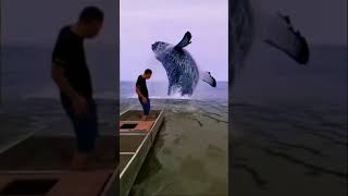 Blue whale jumping in the middle of the sea | সমুদ্রের মাঝখানে নীল তিমির অভূতপূর্ব লাফঝাঁপ |নীল তিমি