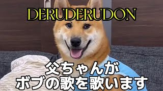 柴犬ボブ が来て半年！父ちゃんが彼に歌を送ります！ #柴犬ロック