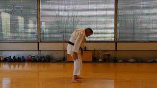 Okinawa Goju Ryu karate for kids 20 minutes training 1