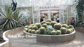 Full review - Kebun Raya Cibodas/Curug Cibogo, Cipanas, Cianjur