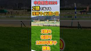 【中京記念】2頭で当てる複勝ワイド馬券買い目【競馬予想】#shorts #中京記念2024 #アルナシーム #ロングラン