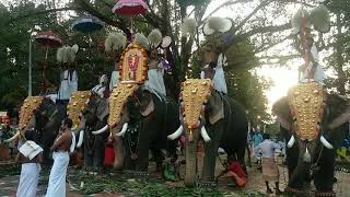 വരടിയം ജയറാം/തിരുവമ്പാടി അര്‍ജ്ജുനന്‍/തിരിവേഗപ്പുറ പദ്മനാഭന്‍/കുന്നംകുളം ഗണേശന്‍/കുറുവട്ടൂർ ഗണേശന്‍