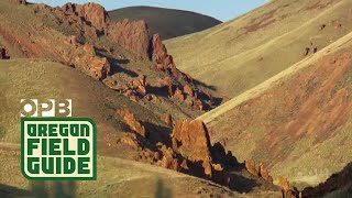 Going back to Leslie Gulch