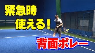 ボレーの技術　緊急時使える！背面ボレー　Tennis Rise テニス・レッスン動画