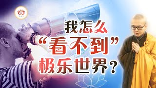 我怎么“看不到”极乐世界？  👼 | 净本法师 主讲