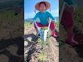 Amazing Seedling Planting Tool for Rural Farmer | Modern Agriculture #shorts #tool #youtubeshorts