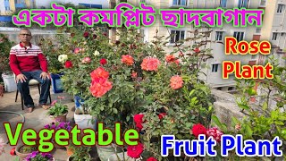 হাওড়া জেলার বেলুড়ে একটি কমপ্লিট বাগান / High quality rooftop Garden /