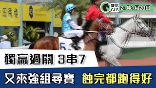 賽馬貼士 ｜ 獨贏過關 3串7  又來強組尋寶｜ 21年1月20日