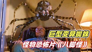【小雅】老人在家看电视，头顶惊现2米大蜘蛛，分分钟把他裹成木乃伊！恐怖片《八脚怪》【电影迷小雅】
