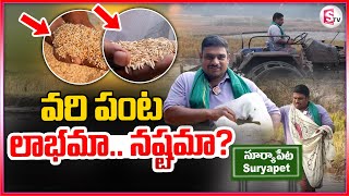 వరి పంట లాభమా.. నష్టమా? ..| Paddy Cultivation | Suryapet | @sumantvsuryapet