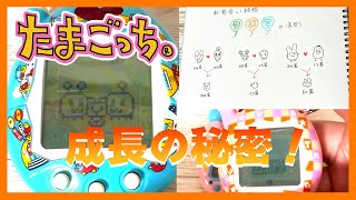 【たまごっち育成動画】エンたま成長の秘密❗️クメマの法則って知ってる⁉️ギャンブル中毒者豪邸を建てるの巻