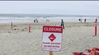 Witness talks about shark attack off Del Mar | NBC 7 San Diego