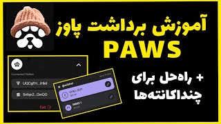 آموزش برداشت ایردراپ پاوز PAWS 🐾 مشکل اتصال فانتوم ولت و چند اکانت‌ها