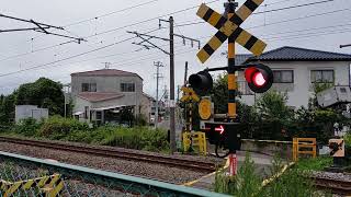 仙石線アニメ列車踏切通過17