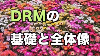 DRMの基礎と全体像！現代最強のマーケティング手法について！