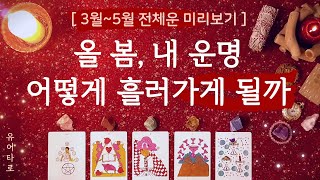 [타로/전체운] 🌸올 봄, 여러분에게 어떤 변화가 생길지 미리 확인해보세요🔎🌟🎁