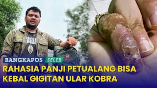 Rahasia Panji Petualang Bisa Kebal Gigitan Ular Kobra