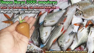 UMPAN 3000 BISA UNTUK MANCING   BERKALI KALI | Umpan Sejuta Umat, Racikan Pemancing Sungai