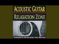 Fingerstyle (Relaxing Acoustic Guitar)