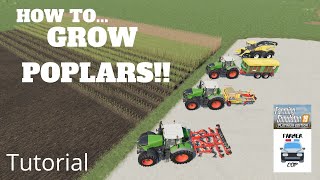 How to Grow Poplars in Farming Simulator 19!!