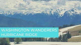 Washington Wanderers  - Hurricane Ridge Wanderings 🏔