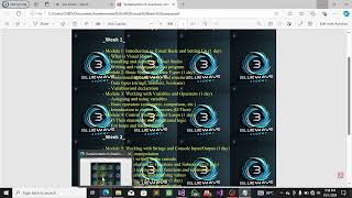Visual basic programming lesson 1 (variable and declaration)