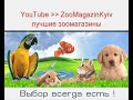 Зоо товары Теплая сумка переноска для собак и кошек