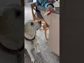 Waiting patiently for..#dog #wait #cute #video #meme #trending #viral #fypシ゚viral