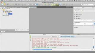 SDK Tutorial 1 - Basics
