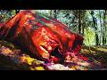 Cerebral Discharge - Compulsive Vagabond (Official Video)