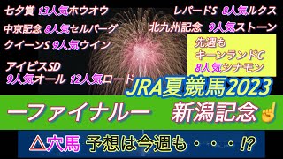 【夏競馬】〜ファイナル〜　新潟記念　　¥¥¥先週のキーンランドCも穴馬ズバリ！絶好調のままココも当てるゾ✊